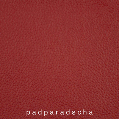 Genickpolsterfarbe_1060425IND-26