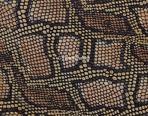 Nasenriemen-Leder_1050412IND-17