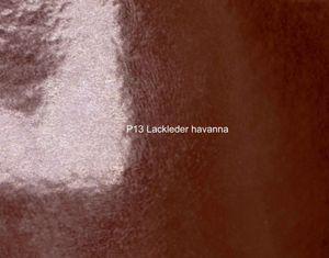 Nasenriemen-Leder_1050412IND-3