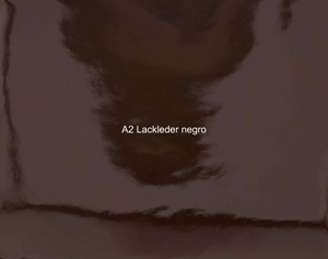 Nasenriemen-Leder_1050412IND-63