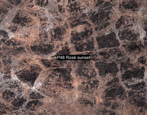 Nasenriemen-Leder_1050412IND-79