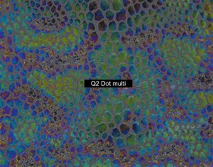 Nasenriemen-Leder_1050412IND-91