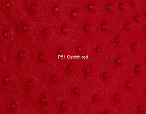 Nasenriemen-Leder_1050413IND-29