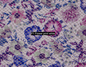 Nasenriemen-Leder_1050413IND-48