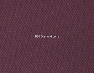 Nasenriemen-Leder_1050413IND-82