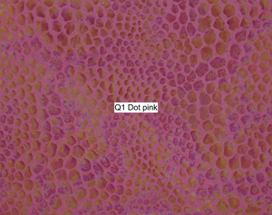 Nasenriemen-Leder_1050414IND-90