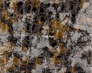 Nasenriemen-Leder_1050422IND-11