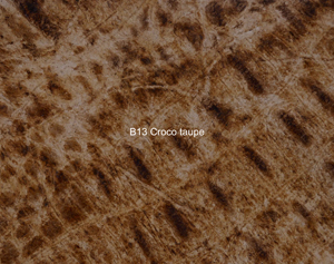 Nasenriemen-Leder_1050422IND-13