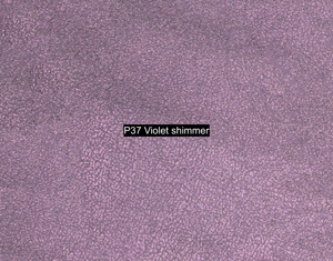 Nasenriemen-Leder_1050422IND-71