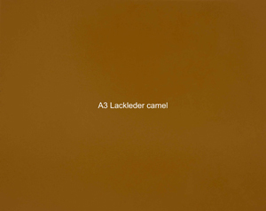 Nasenriemen-Leder_1050425IND-74