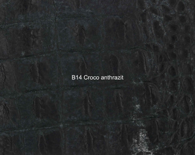 Nasenriemen-Leder_1060412IND-22