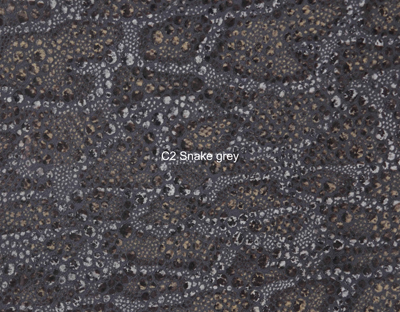 Nasenriemen-Leder_1060412IND-24