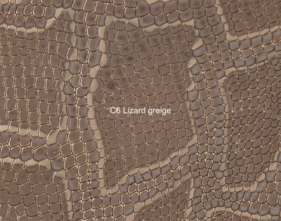 Nasenriemen-Leder_1060412IND-28