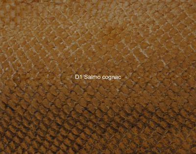 Nasenriemen-Leder_1060412IND-29