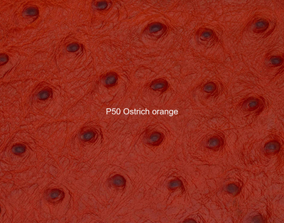 Nasenriemen-Leder_1060412IND-36