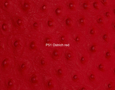 Nasenriemen-Leder_1060412IND-37