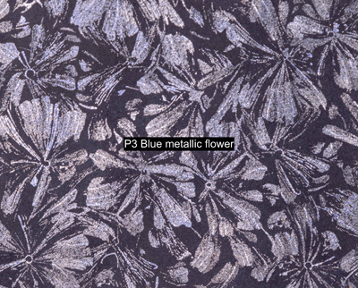 Nasenriemen-Leder_1060412IND-58