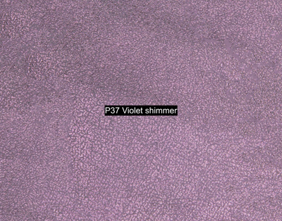 Nasenriemen-Leder_1060412IND-77