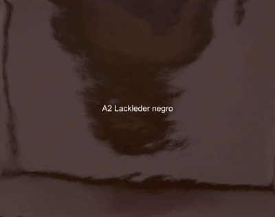 Nasenriemen-Leder_1060412IND-7