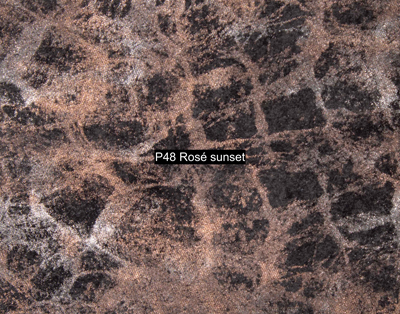 Nasenriemen-Leder_1060412IND-84