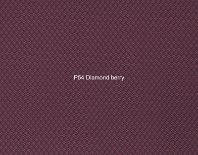 Nasenriemen-Leder_1060412IND-87