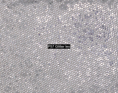 Nasenriemen-Leder_1060412IND-89