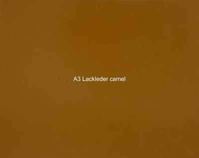 Nasenriemen-Leder_1060412IND-8