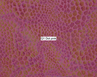 Nasenriemen-Leder_1060412IND-94