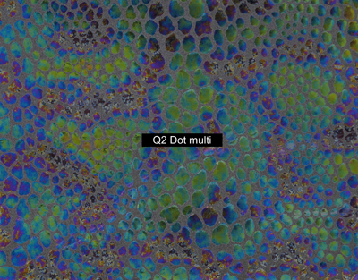 Nasenriemen-Leder_1060412IND-95