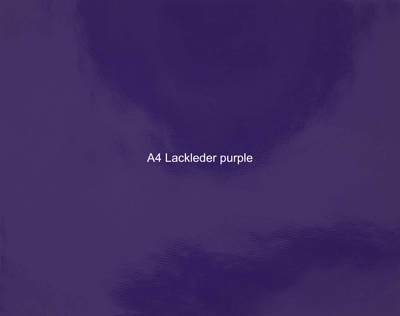 Nasenriemen-Leder_1060412IND-9