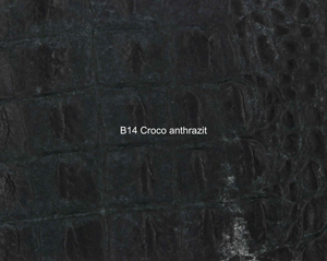 Nasenriemen-Leder_1060413IND-14