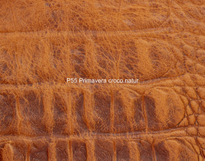 Nasenriemen-Leder_1060422IND-31