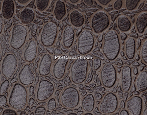 Nasenriemen-Leder_1060425IND-25