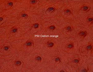 Nasenriemen-Leder_1060425IND-28