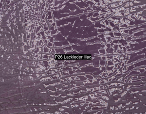 Nasenriemen-Leder_1060425IND-6