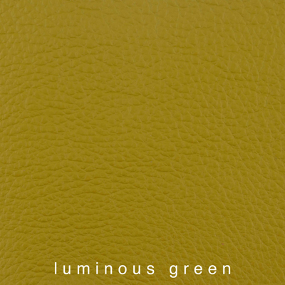 Nasenriemen-Polsterfarbe_1050413IND-20