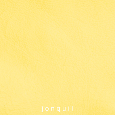 Nasenriemen-Polsterfarbe_1050422IND-23