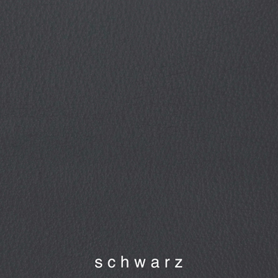 Nasenriemen-Polsterfarbe_1050425IND-1