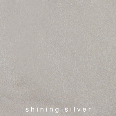 Nasenriemen-Polsterfarbe_1060413IND-40