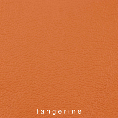 Nasenriemen-Polsterfarbe_1060414IND-44