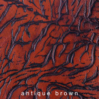 Nasenriemen-Polsterfarbe_1060425IND-48