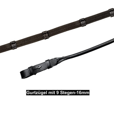 Zugel-Trense_1050413IND-4