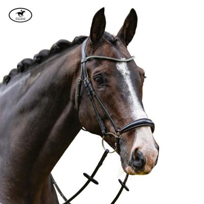 Passier - Trense CONFIDENCE CALEVO.com Shop