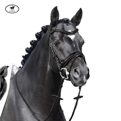 Passier - Trense APOLLO CALEVO.com Shop