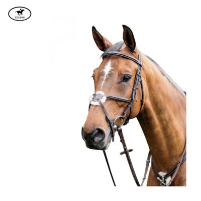 Prestige - Mexikanische Trense mit Ziern�hten E80 -- CALEVO.com Shop