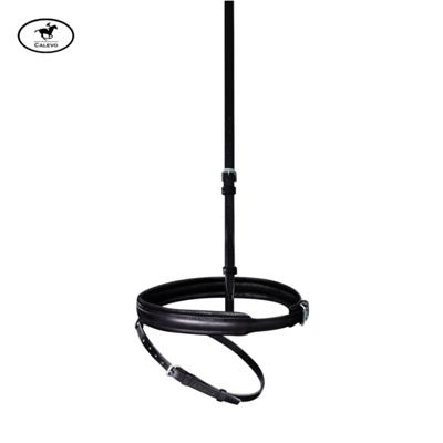 Passier - Wechsel-Reithalfter Englisch kombiniert -- CALEVO.com Shop