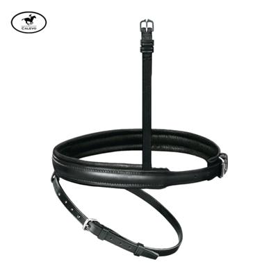 Passier - Wechsel-Reithalfter Englisch kombiniert -- CALEVO.com Shop