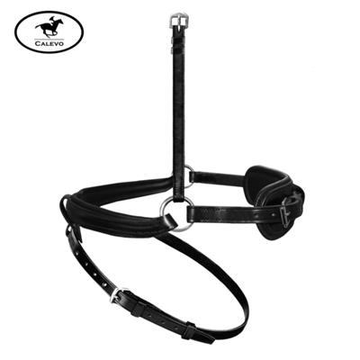 Passier Anatomic Wechsel-Reithalfter Englisch komb.m.Ringen CALEVO.com Shop