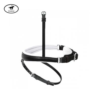 Passier - Wechsel-Reithalfter Spezial -- CALEVO.com Shop