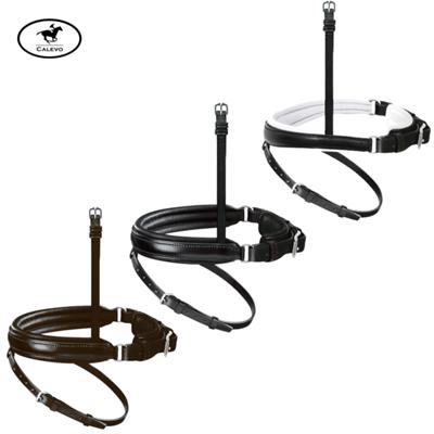 Passier - Wechsel-Reithalfter Spezial CALEVO.com Shop